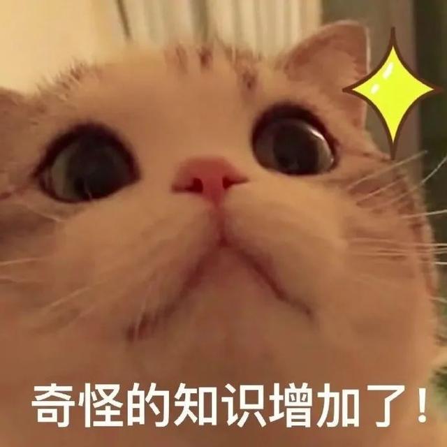 曾是“外国坟山”，如今免费开放的八景园等你来打卡