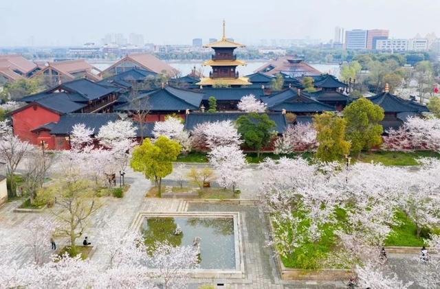 清明假期，佘山国家旅游度假区成热门打卡地
