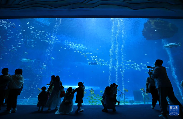 海南海洋欢乐世界成清明热门打卡地！，清明假期海南景区人潮涌动，欢乐氛围拉满！