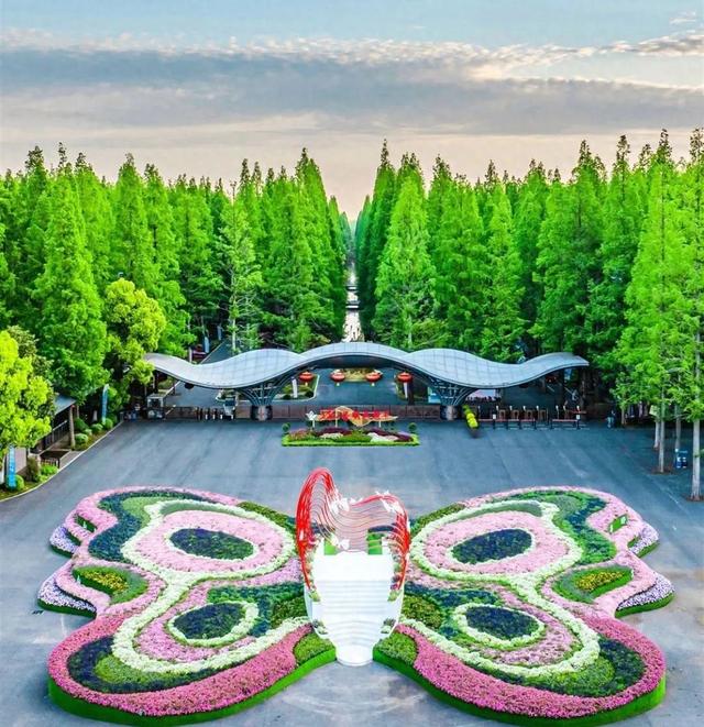 花朝节邂逅东平森林，解锁亲子春日狂欢新玩法！，探秘东平森林花朝节：亲子露营的绝佳之选！