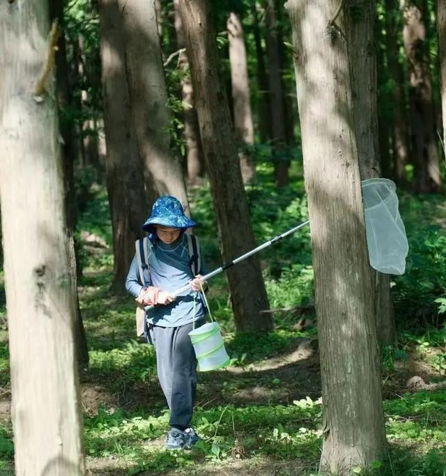 花朝节邂逅东平森林，解锁亲子春日狂欢新玩法！，探秘东平森林花朝节：亲子露营的绝佳之选！