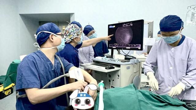 上海市儿童医院眼科技术：助力高度近视患儿稳定视力 后巩膜加固术：让高度近视患儿从被动配镜走向主动防御