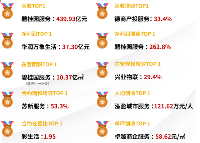 透视 2024 上市物企业绩：增速降、利润减，行业迈向新征程，上市物企 2024 成绩单：业绩滑坡，管理格局生变