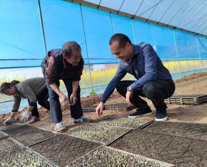 建行金融力量，引领四川春耕产业多元振兴，科技金融双驱动，建行助力四川农业春耕加速度
