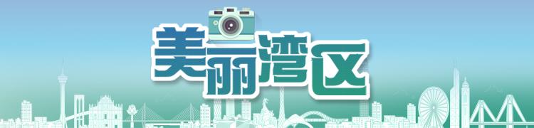 顶流网红打卡深圳，见证低空经济的“深圳速度”，深圳科技大赏，让美国网红“甲亢哥”连连惊呼