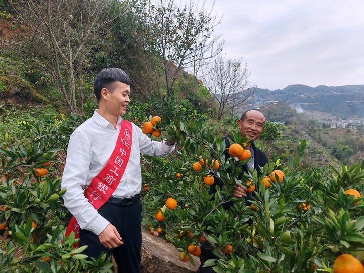 工行“电商e贷”，助推毕节电商产业蓬勃发展