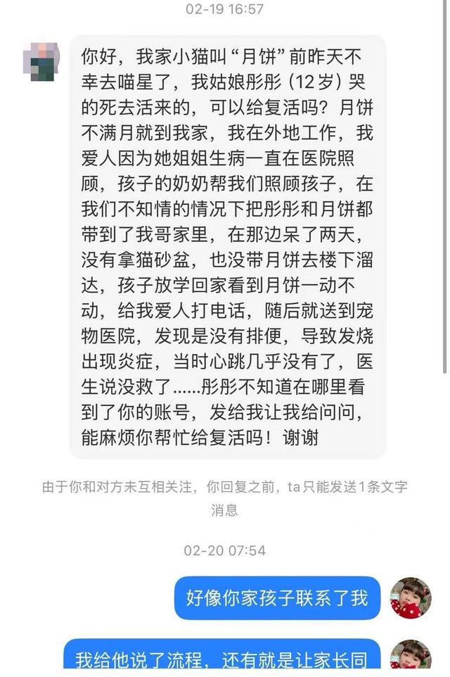 宠物标本师张珈宁：让爱跨越生死的边界，从纹身师到宠物标本师，张珈宁的温暖转行之路